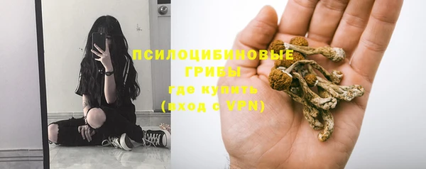 гидропоника Богородск