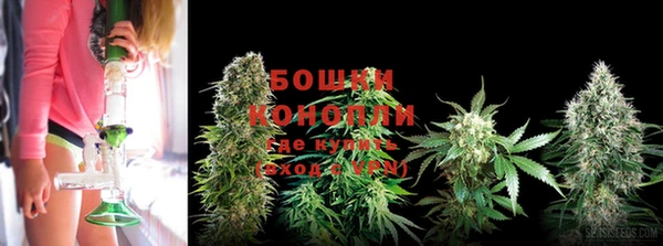 гидропоника Богородск