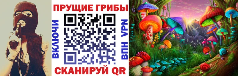 Галлюциногенные грибы Psilocybe  Купить  Саки 